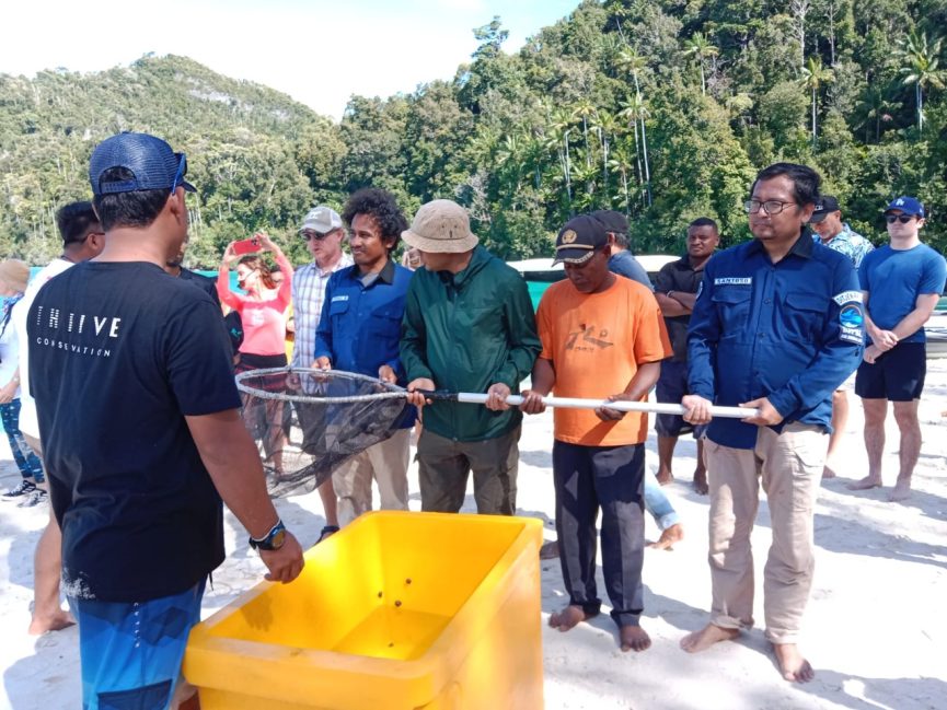 Seremoni Adat Dalam Pelepasliaran Anakan Hiu di Raja Ampat. Foto: kkp.go.id