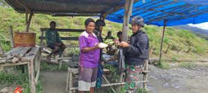 Bantu Kesulitan Masyarakat Distrik Yambi, Satgas Yonif RK 115/ML Barter Bahan Makanan dengan Warga