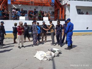 Lantamal XIV Sorong Gagalkan Penyelundupan Penyu di Raja Ampat