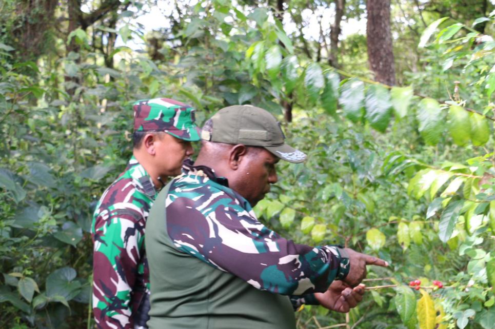 Peduli Petani Kopi Pegunungan, Dandim 1702/JWY Kunjungi Lahan Perkebunan Kopi