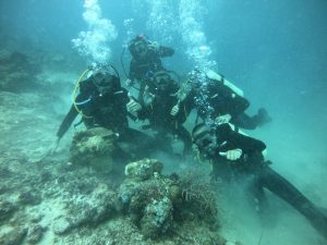 Penyelam Peserta MNEK 2023 NIikmati Keindahan Bawah Laut Pulau Samalona