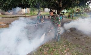 Satgas Yonif 143TWEJ Bantu Masyarakat Berantas Malaria