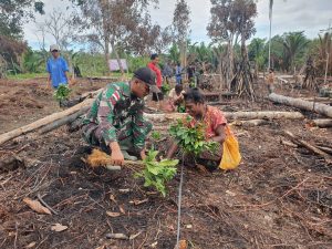 Satgas Yonif 143/TWEJ Lakukan Penanaman Bibit Kopi bersama Masyarakat Papua