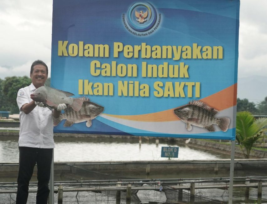 KKP